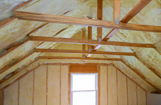 Best Commercial Insulation in Prophetstown, IL